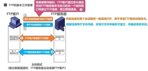 計算機網(wǎng)絡(luò)應(yīng)用層 域名系統(tǒng)DNS、文件傳送協(xié)議FTP與計算機系統(tǒng)服務(wù)
